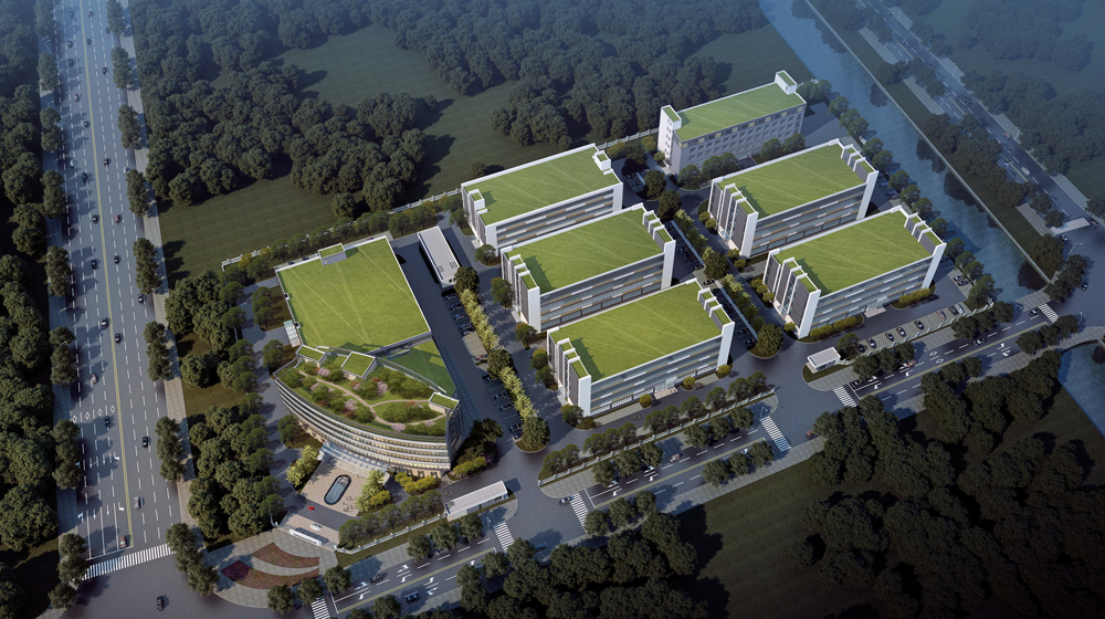 新利luck18(中国)体育·官方网站