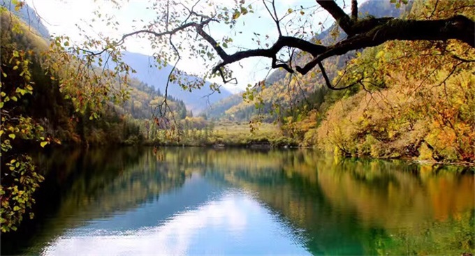 新利luck18(中国)体育·官方网站